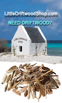 Little Driftwood Shop